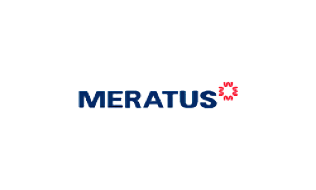 LOGO MERATUS WEB